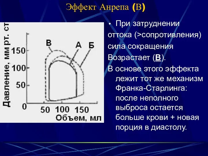 Эффект Анрепа (В) При затруднении оттока (>сопротивления) сила сокращения Возрастает