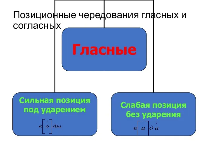 Позиционные чередования гласных и согласных