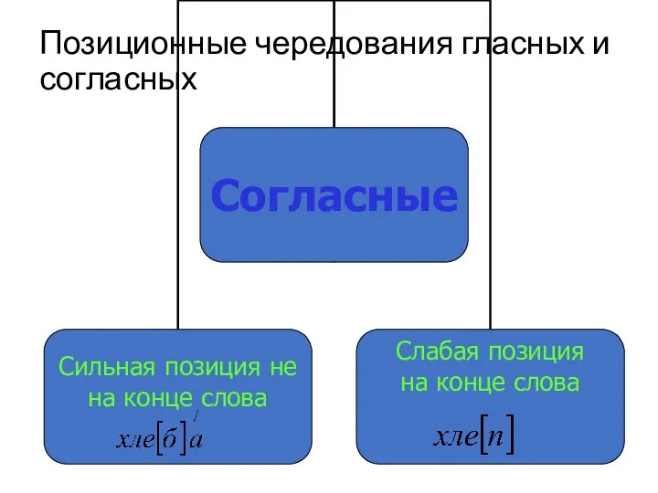 Позиционные чередования гласных и согласных