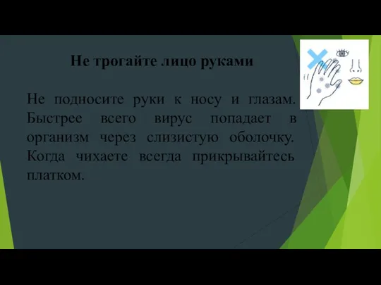 Не трогайте лицо руками Не подносите руки к носу и