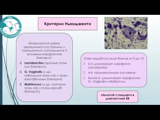 Критерии Ньюнджента «Золотой стандарт» в диагностике БВ Микроскопия мазка, окрашенного