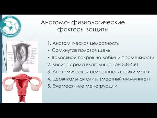 Анатомо- физиологические факторы защиты 1. Анатомическая целостность Сомкнутая половая щель