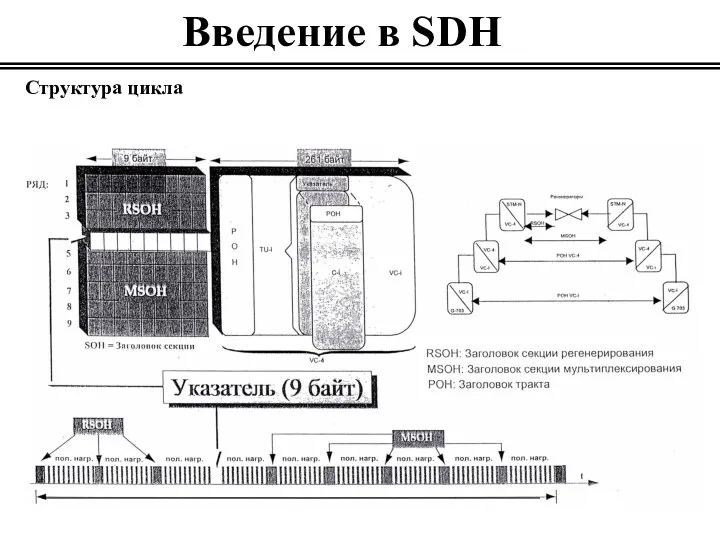 Введение в SDH Структура цикла