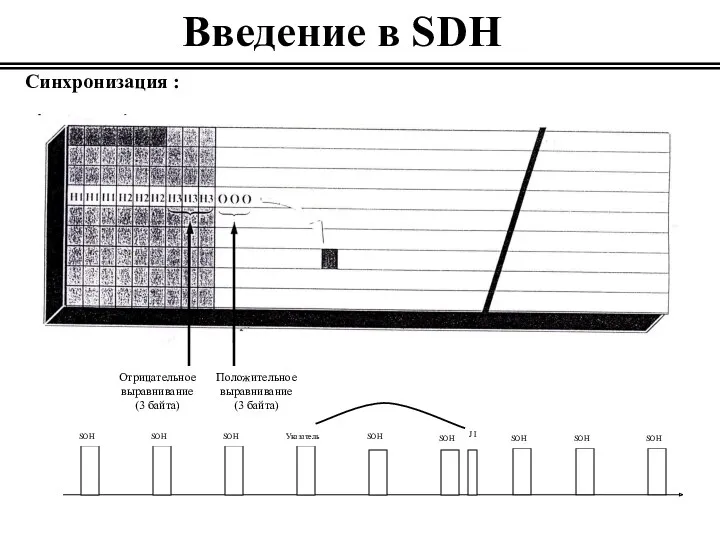 Введение в SDH Синхронизация :