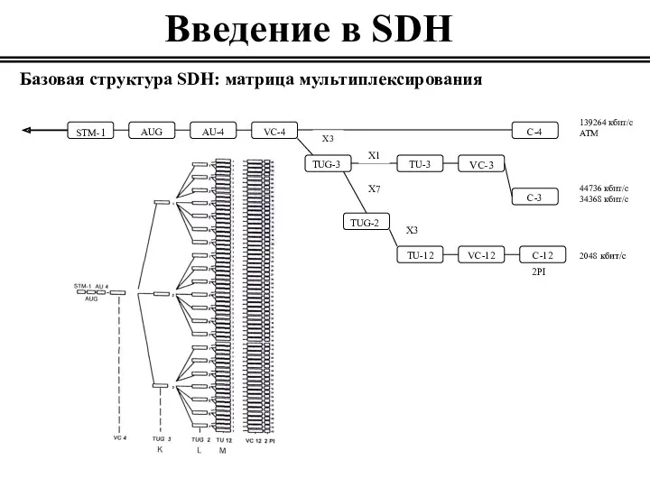 Введение в SDH Базовая структура SDH: матрица мультиплексирования