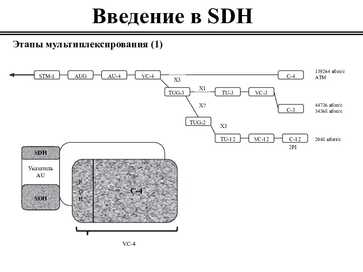 Введение в SDH Этапы мультиплексирования (1)