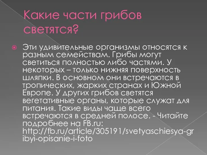 Какие части грибов светятся? Эти удивительные организмы относятся к разным