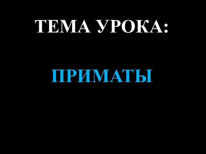 ПРИМАТЫ ТЕМА УРОКА: