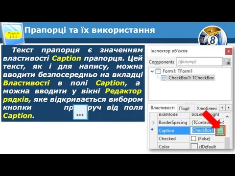 Прапорці та їх використання Розділ 6 § 6.5