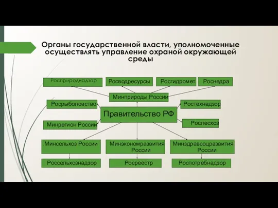 Органы государственной власти, уполномоченные осуществлять управление охраной окружающей среды Росприроднадзор