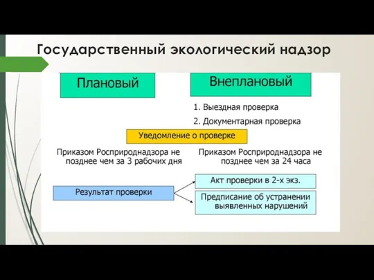 Государственный экологический надзор