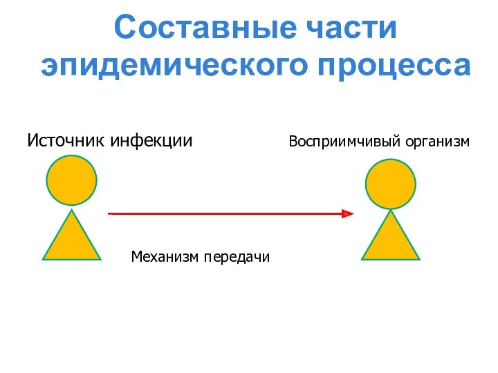 Составные части эпидемического процесса Источник инфекции Восприимчивый организм Механизм передачи