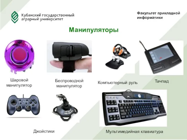 Факультет прикладной информатики Манипуляторы Шаровой манипулятор Беспроводной манипулятор Компьютерный руль Джойстики Мультимедийная клавиатура Тачпад