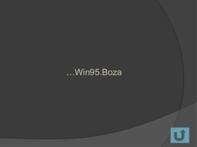 …Win95.Boza