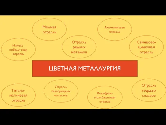 ЦВЕТНАЯ МЕТАЛЛУРГИЯ Медная отрасль Свинцово-цинковая отрасль Никель-кобальтовая отрасль Алюминиевая отрасль