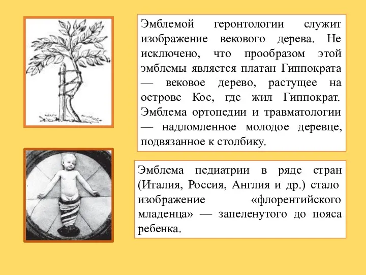Эмблемой геронтологии служит изображение векового дерева. Не исключено, что прообразом этой эмблемы является