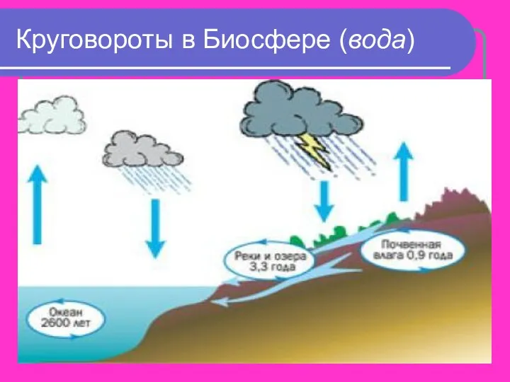 Круговороты в Биосфере (вода) .