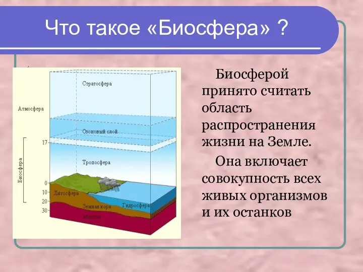 Что такое «Биосфера» ? / Биосферой принято считать область распространения