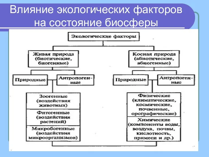 Влияние экологических факторов на состояние биосферы .