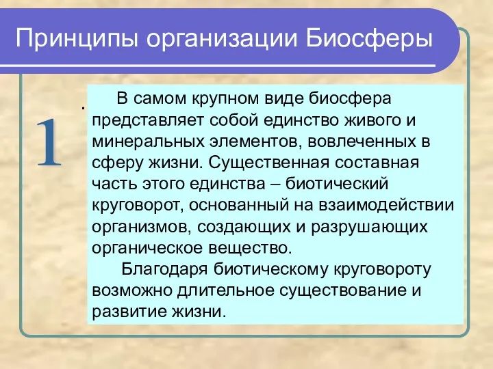 Принципы организации Биосферы . 1 В самом крупном виде биосфера