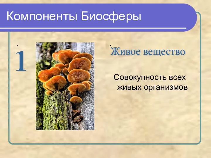 Компоненты Биосферы . . Совокупность всех живых организмов 1 Живое вещество