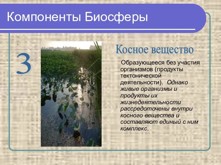 Компоненты Биосферы . Образующееся без участия организмов (продукты тектонической деятельности).