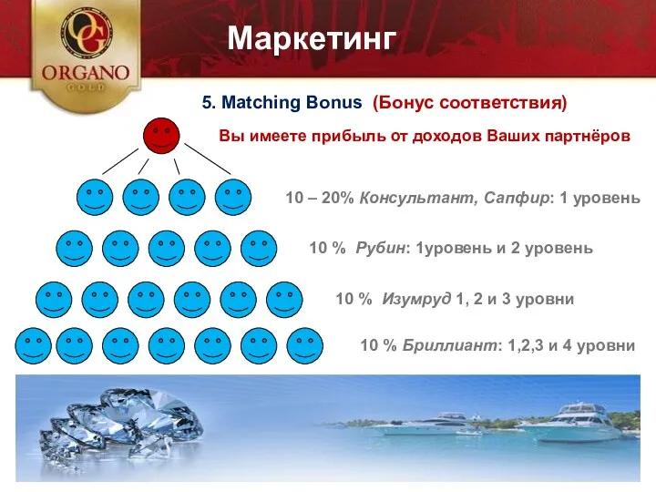 5. Matching Bonus (Бонус соответствия) Вы имеете прибыль от доходов