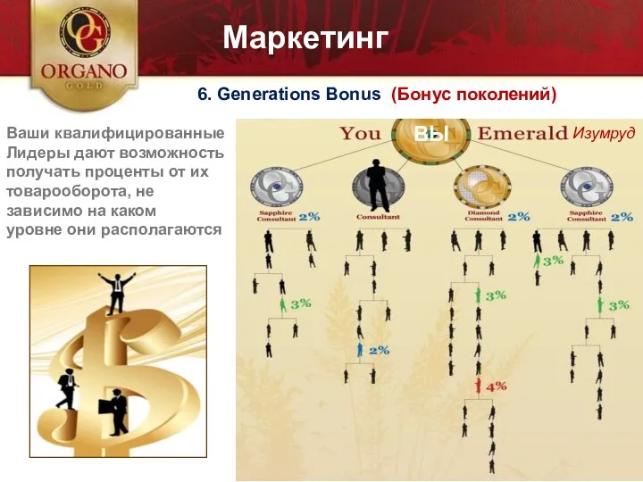 ВЫ Изумруд 6. Generations Bonus (Бонус поколений) Ваши квалифицированные Лидеры