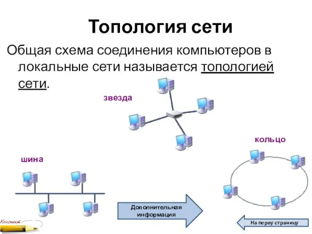 Топология сети Общая схема соединения компьютеров в локальные сети называется топологией сети. шина