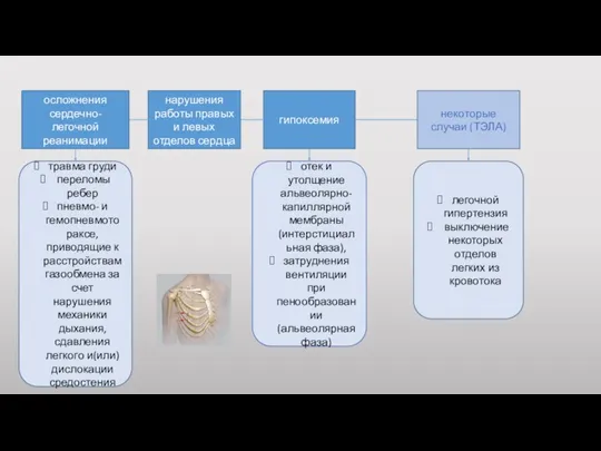 осложнения сердечно-легочной реанимации травма груди переломы ребер пневмо- и гемопневмотораксе,