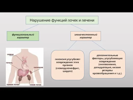 Нарушение функций почек и печени функциональный характер злокачественный характер гипоксия