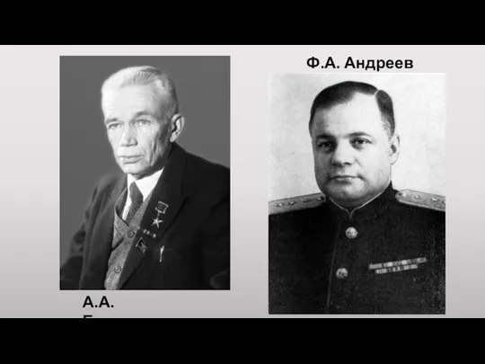 Ф.А. Андреев А.А. Богомолец