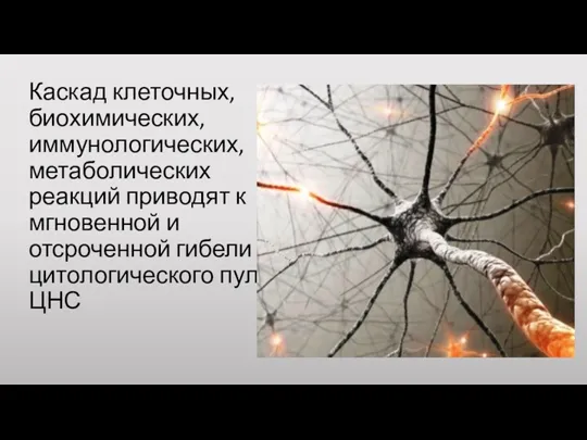 Каскад клеточных, биохимических, иммунологических, метаболических реакций приводят к мгновенной и отсроченной гибели цитологического пула ЦНС