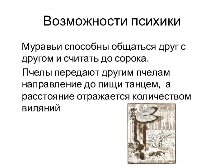 Возможности психики Муравьи способны общаться друг с другом и считать