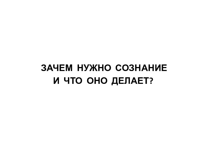 ЗАЧЕМ НУЖНО СОЗНАНИЕ И ЧТО ОНО ДЕЛАЕТ?