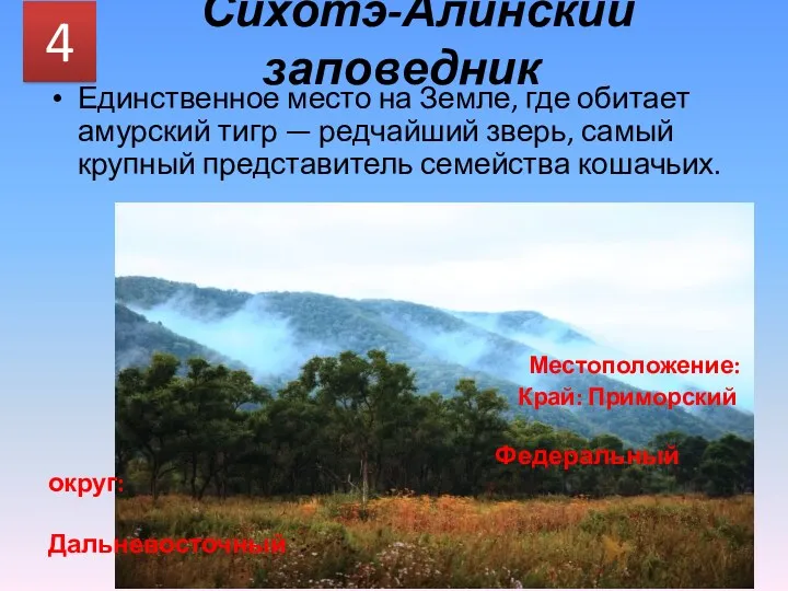 Сихотэ-Алинский заповедник Единственное место на Земле, где обитает амурский тигр