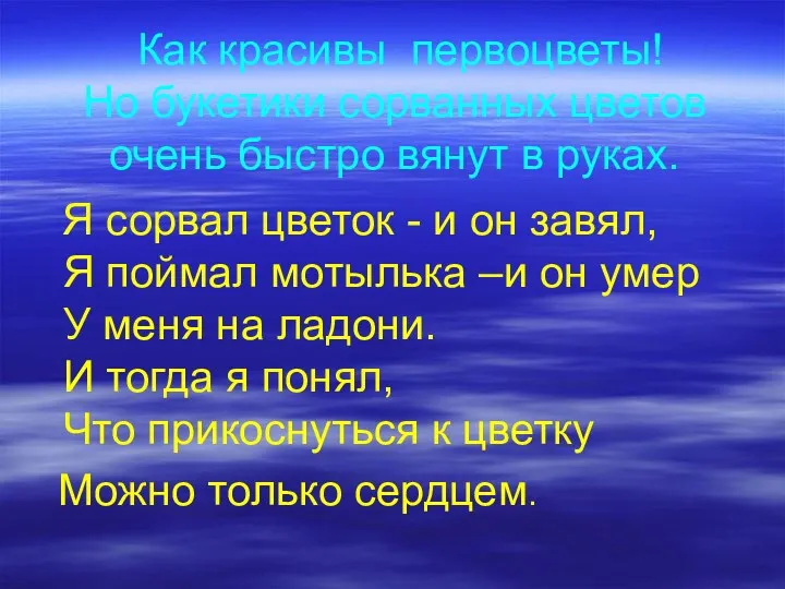 Как красивы первоцветы! Но букетики сорванных цветов очень быстро вянут