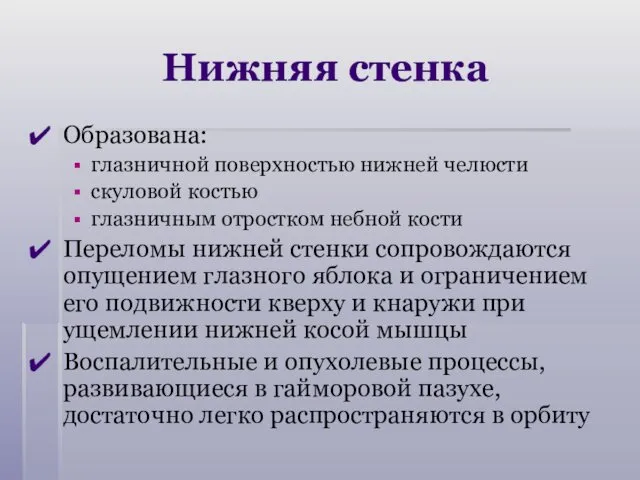 Нижняя стенка Образована: глазничной поверхностью нижней челюсти скуловой костью глазничным отростком небной кости