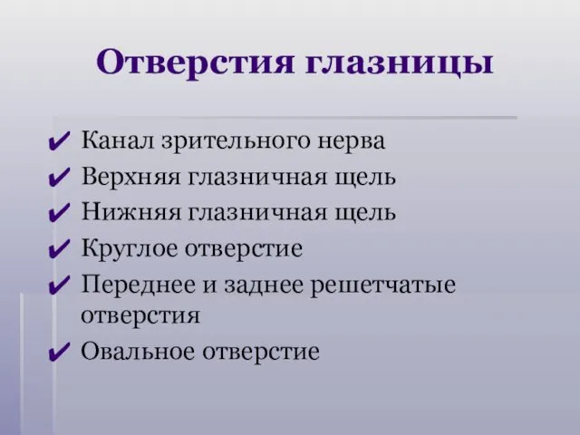 Отверстия глазницы Канал зрительного нерва Верхняя глазничная щель Нижняя глазничная щель Круглое отверстие