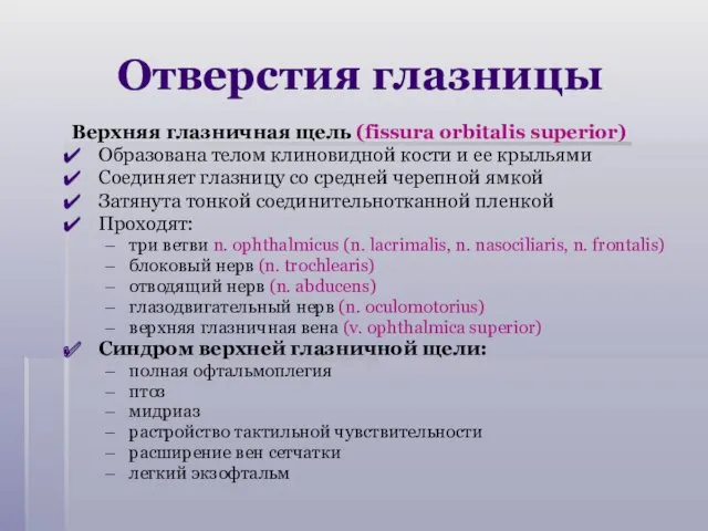 Отверстия глазницы Верхняя глазничная щель (fissura orbitalis superior) Образована телом клиновидной кости и