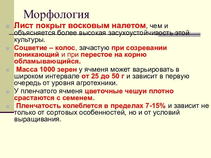 Морфология Лист покрыт восковым налетом, чем и объясняется более высокая