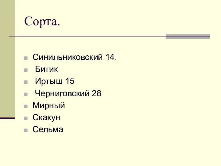 Сорта. Синильниковский 14. Битик Иртыш 15 Черниговский 28 Мирный Скакун Сельма