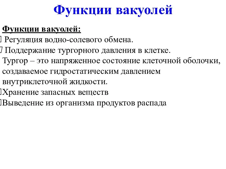 Функции вакуолей: Регуляция водно-солевого обмена. Поддержание тургорного давления в клетке.