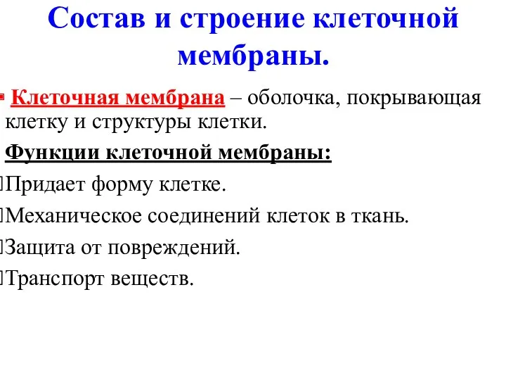 Состав и строение клеточной мембраны. Клеточная мембрана – оболочка, покрывающая