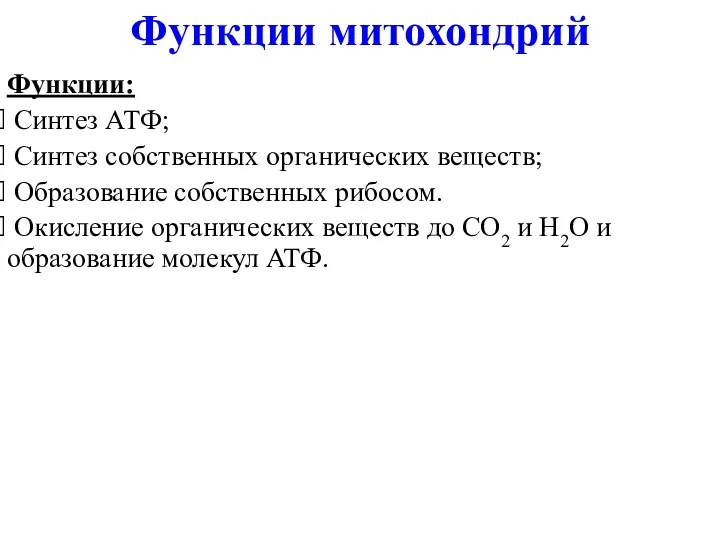 Функции: Синтез АТФ; Синтез собственных органических веществ; Образование собственных рибосом.