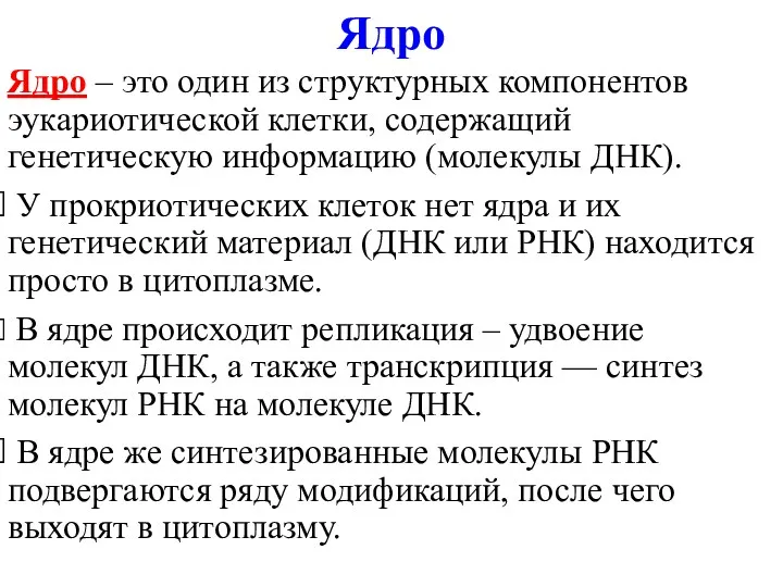 Ядро – это один из структурных компонентов эукариотической клетки, содержащий