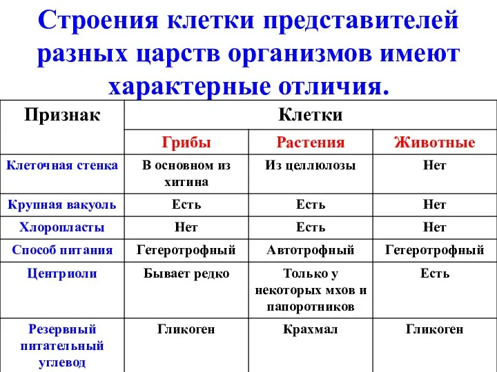 Строения клетки представителей разных царств организмов имеют характерные отличия.