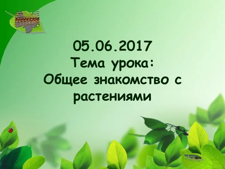 Общее знакомство с растениями