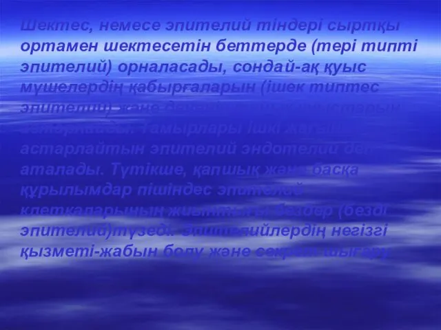 Шектес, немесе эпителий тіндері сыртқы ортамен шектесетін беттерде (тері типті