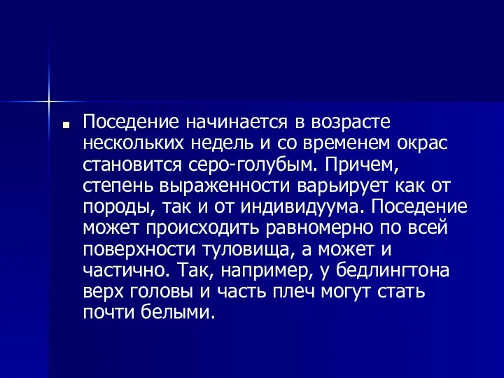 Поседение начинается в возрасте нескольких недель и со временем окрас